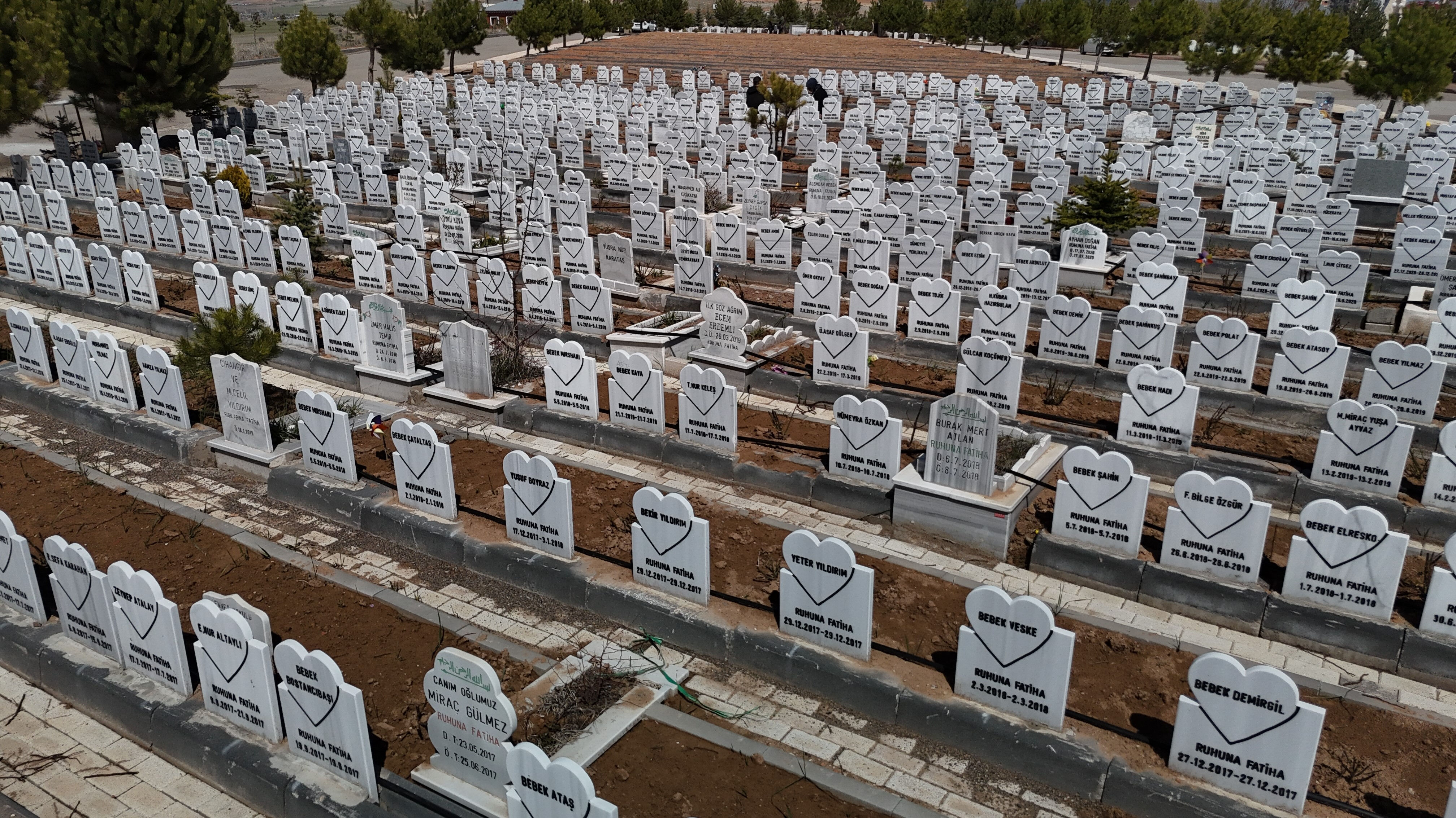 O kalplere ne hayat ne de isim sığdı: Sivas'ın en sessiz mezarlığı - 1. Resim