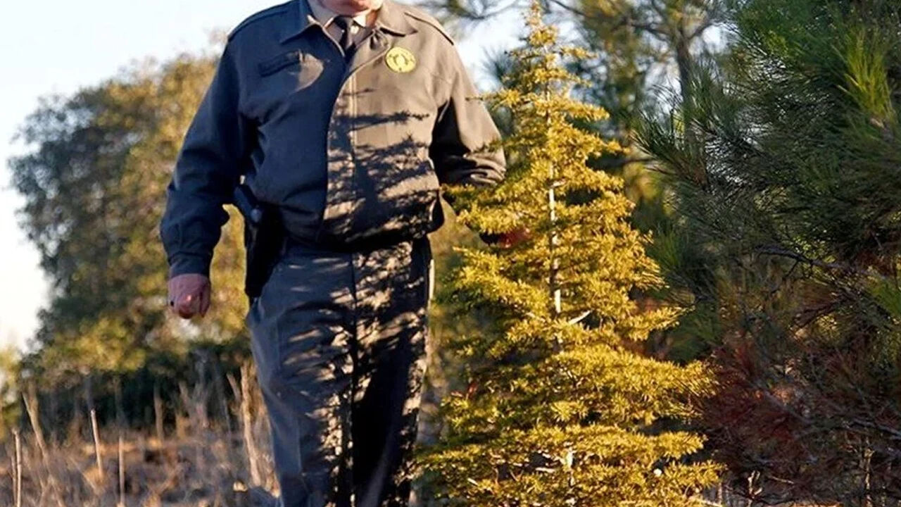 Orman Genel Müdürlüğü 3477 personel alımı sonuçları ne zaman açıklanacak? OGM personel alımı sonuç öğrenme - 1. Resim