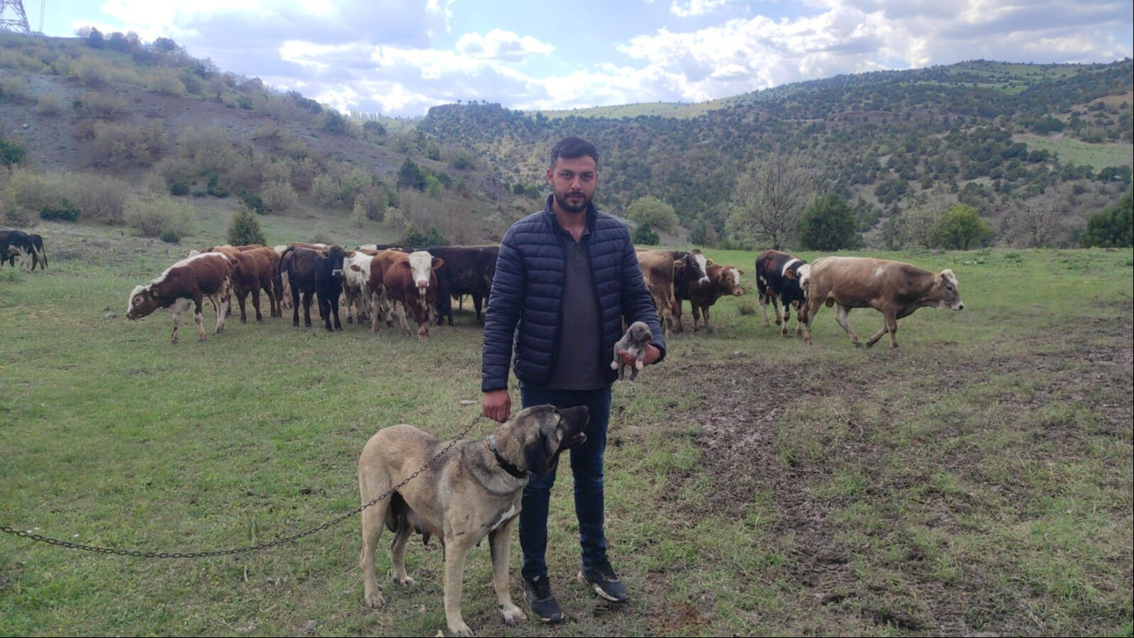 10 saniyelik videoyla linç edildi: Köpeğe eziyet iddiasının arkasından bakın ne çıktı 10 saniyelik videoyla linç edildi: Köpeğe eziyet iddiasının arkasından bakın ne çıktı - 2. Resim