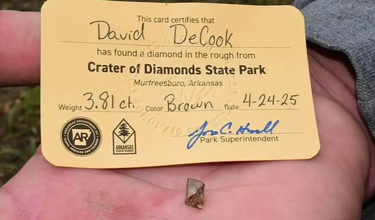 Çöp zannetti, gerçek bambaşka çıktı! Parkın her yerinden fışkırıyor Çöp zannetti, gerçek bambaşka çıktı! Parkın her yerinden fışkırıyor - 3. Resim