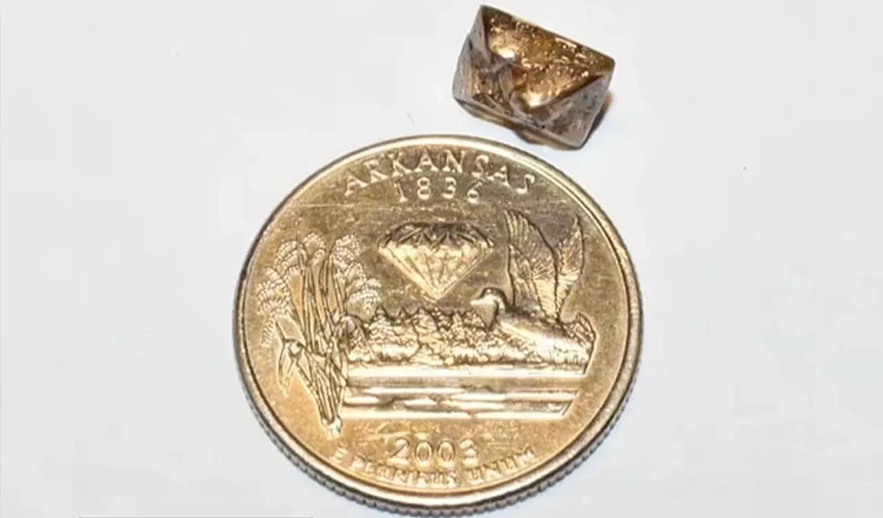 Çöp zannetti, gerçek bambaşka çıktı! Parkın her yerinden fışkırıyor Çöp zannetti, gerçek bambaşka çıktı! Parkın her yerinden fışkırıyor - 2. Resim