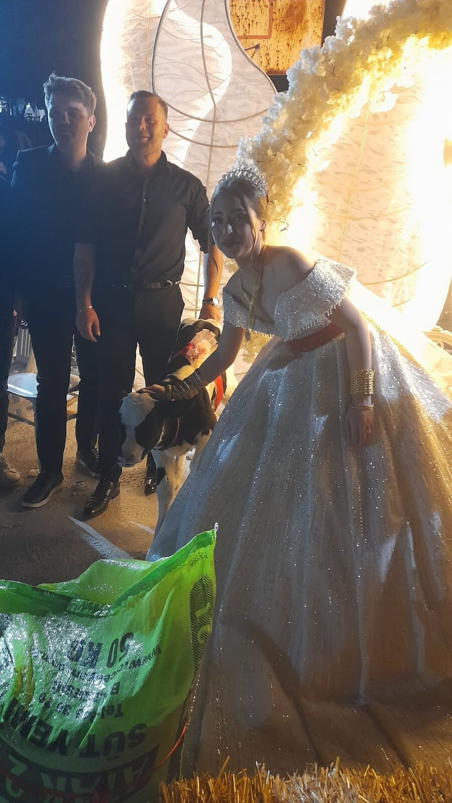 Düğünde geline buzağı sürprizi! Takı yerine damada verilen hediyeler şaşkına çevirdi Düğünde geline buzağı sürprizi! Takı yerine damada verilen hediyeler şaşkına çevirdi - 1. Resim