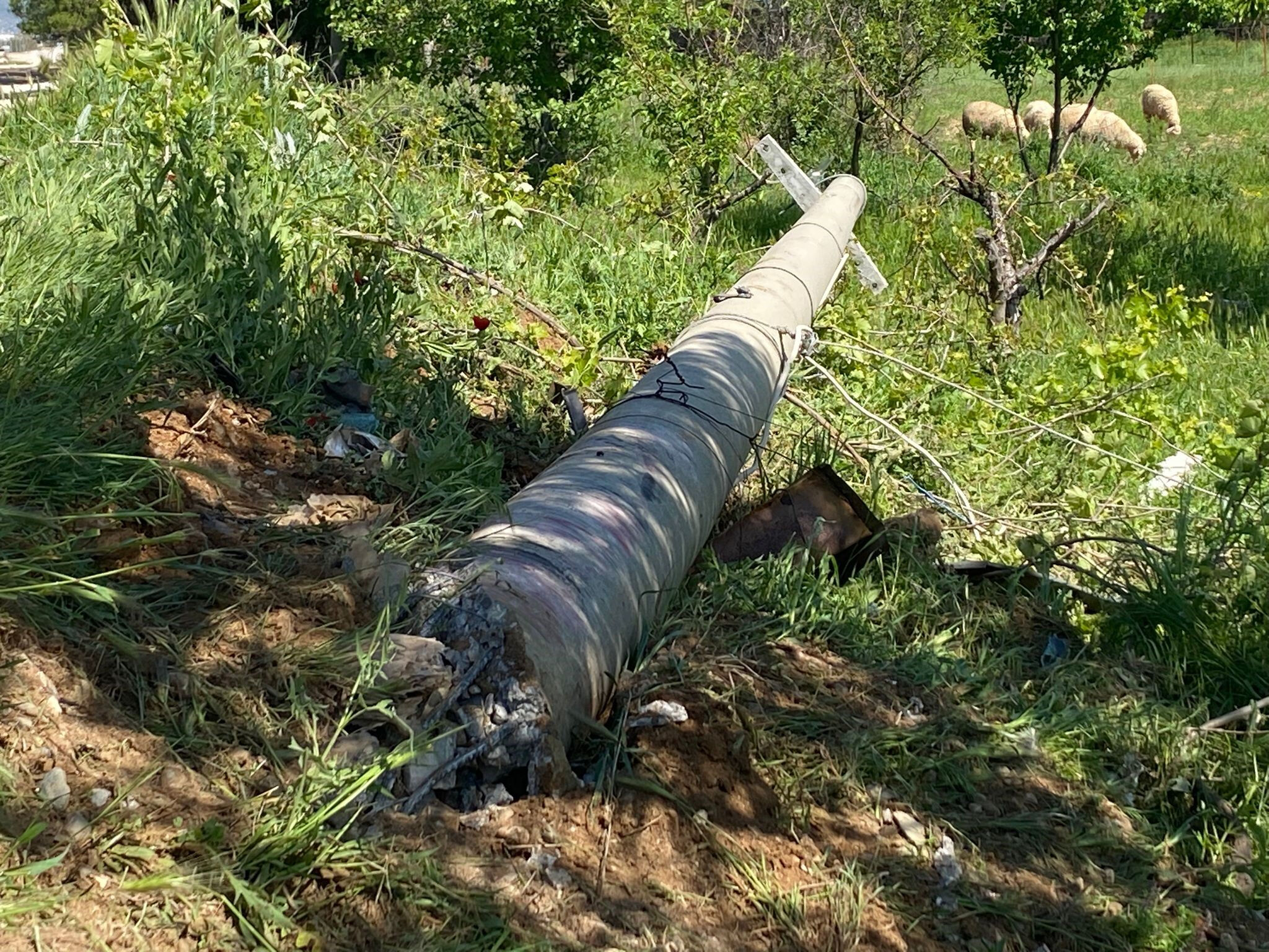 Elektrik direğine çarpan araçta can pazarı! 2 kişi öldü, 1 kişi yaralandı Elektrik direğine çarpan araçta can pazarı! 2 kişi öldü, 1 kişi yaralandı - 1. Resim