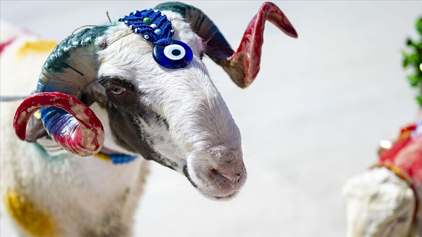 Kurban Bayramı tatili 9 gün olur mu? Son dakika bayram tatili açıklaması bekleniyor! - 1. Resim