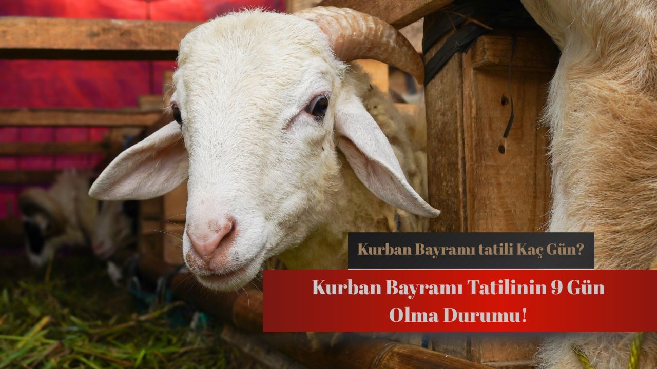 Kurban Bayramı tatili 9 gün olur mu? Son dakika bayram tatili açıklaması bekleniyor! Kurban Bayramı tatili 9 gün olur mu? Son dakika bayram tatili açıklaması bekleniyor!