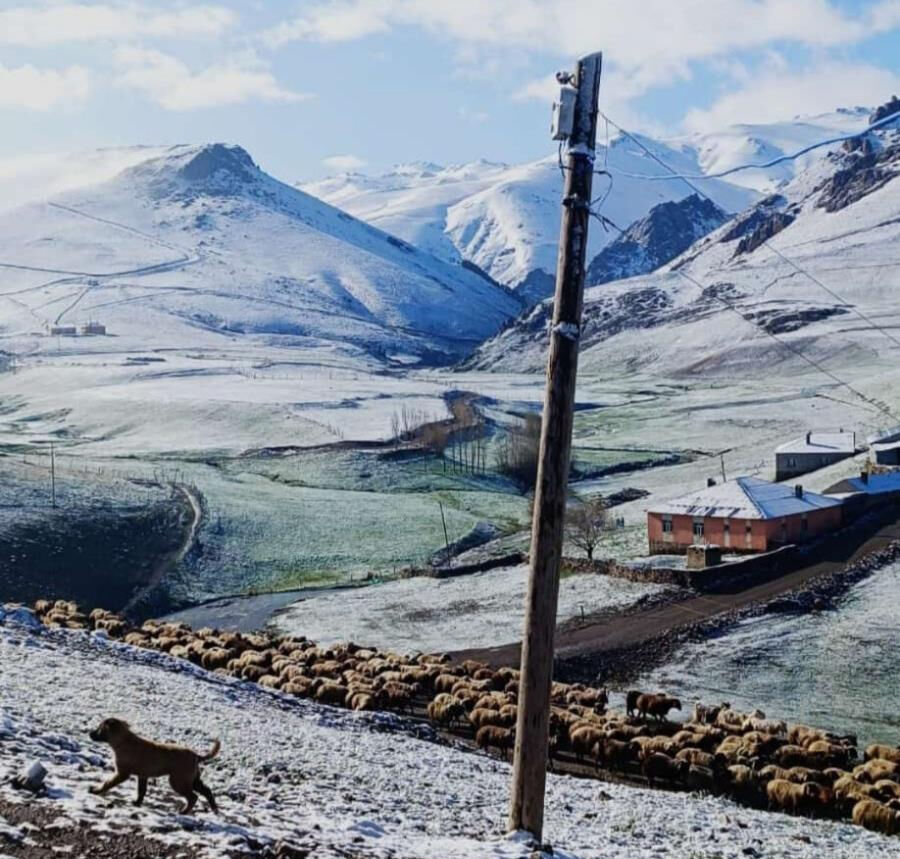 Mayıs ayında kar yağdı, vatandaşlar şaşkına döndü - 1. Resim