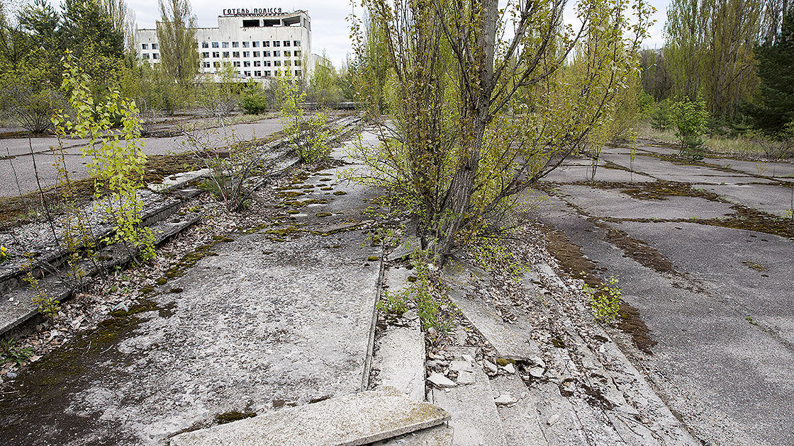 Çernobil felaketinden 39 yıl sonra sevindiren gelişme! - 1. Resim