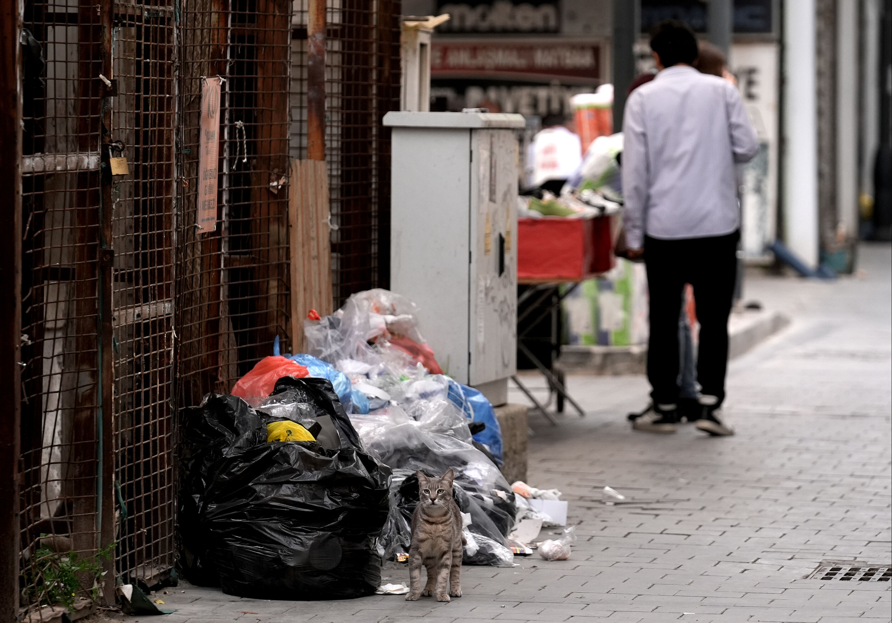 CHP'li belediyede çöp yığınları dağ gibi oldu, vatandaş isyan etti!  CHP'li belediyede çöp yığınları dağ gibi oldu, vatandaş isyan etti!