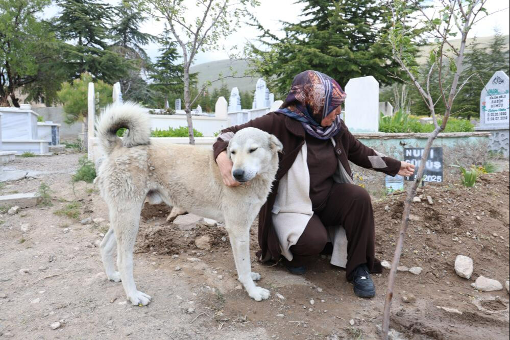 'Garip'in duygulandıran vefası! Önce anlam veremediler, sonra çok şaşırdılar - 2. Resim