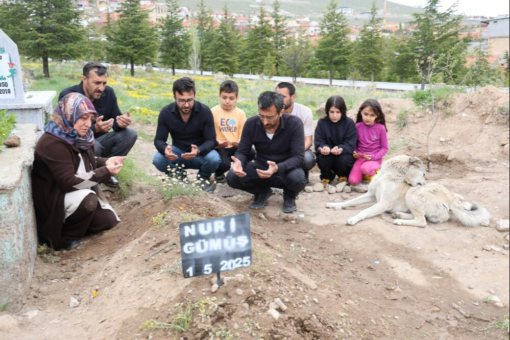 'Garip'in duygulandıran vefası! Önce anlam veremediler, sonra çok şaşırdılar - 1. Resim