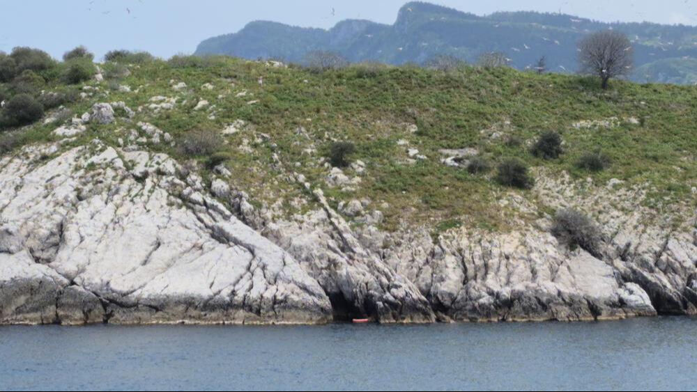 Yasak bölgede gören telefona sarıldı! Ekipleri alarma geçirdi... Gerçek ortaya çıktı - 2. Resim
