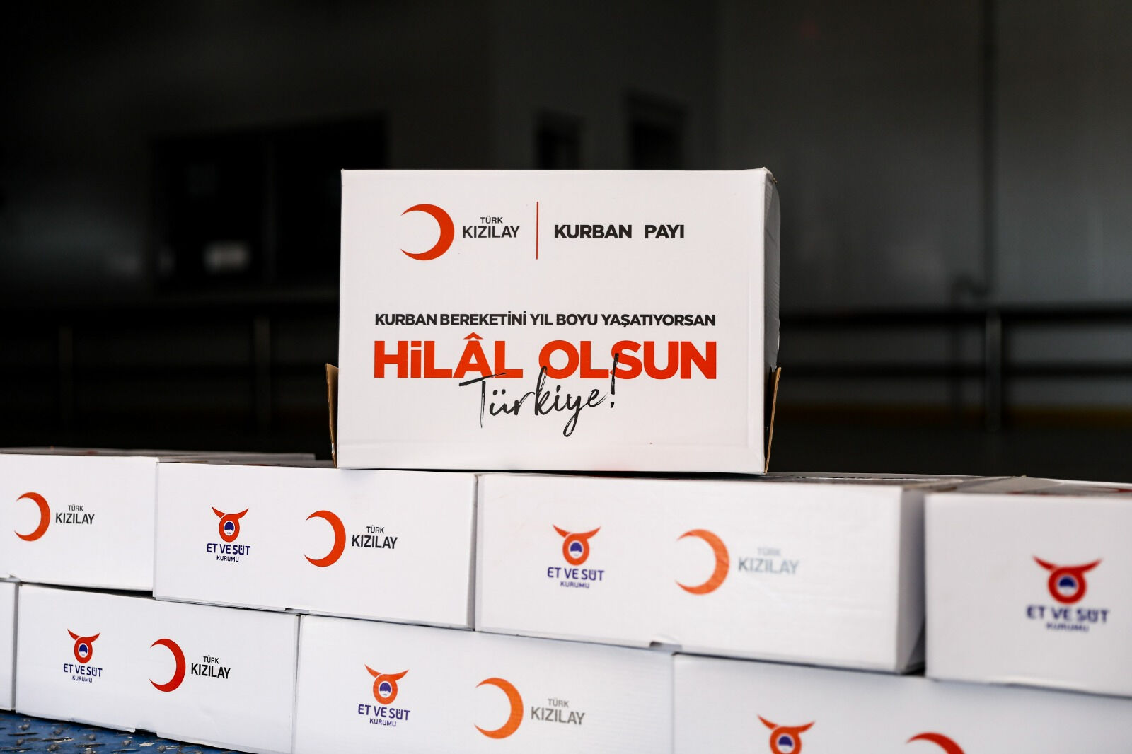 2025 kurbanlık fiyatları a&ccedil;ıklandı: Vekaletle kurban kesimi hem kolay hem de g&ouml;n&uuml;l rahatlığı sunuyor - 1. Resim