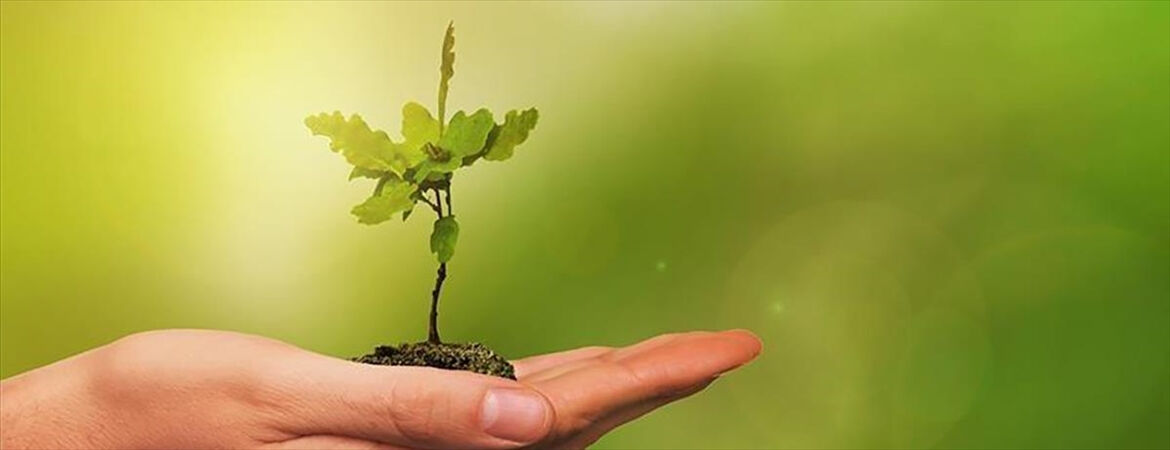 BM raporu sert konuştu! 