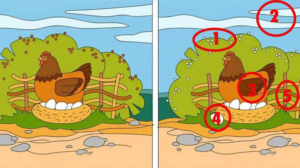 Bu testten sonra gözlük takmaya başlayanlar oldu! 11 saniyede 5 farkı bulabilecek misin? - 2. Resim