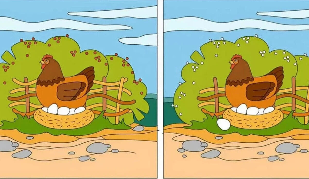 Bu testten sonra gözlük takmaya başlayanlar oldu! 11 saniyede 5 farkı bulabilecek misin? - 1. Resim