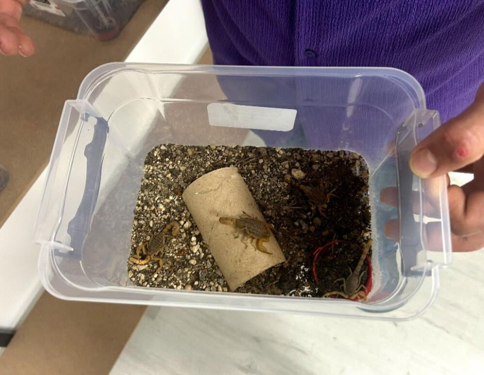 İnternette gördü! Ayda 0,5 gram üretiyor... Hepsi özel kapta, litresi 10 milyon dolar İnternette gördü! Ayda 0,5 gram üretiyor... Hepsi özel kapta, litresi 10 milyon dolar - 3. Resim