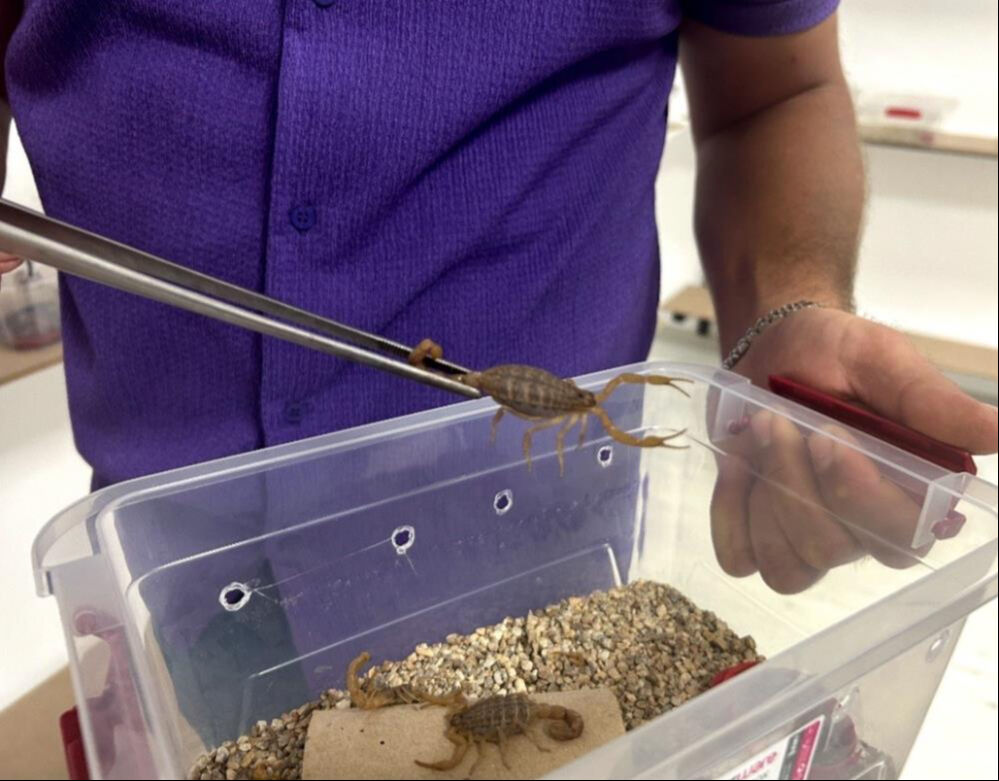 İnternette gördü! Ayda 0,5 gram üretiyor... Hepsi özel kapta, litresi 10 milyon dolar İnternette gördü! Ayda 0,5 gram üretiyor... Hepsi özel kapta, litresi 10 milyon dolar - 1. Resim
