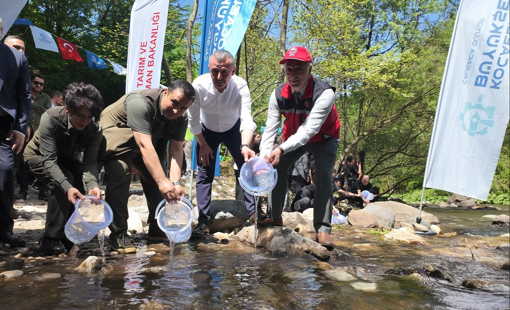 İzmit Körfezi bereketlenecek! 8 bin adet bırakıldı - 1. Resim
