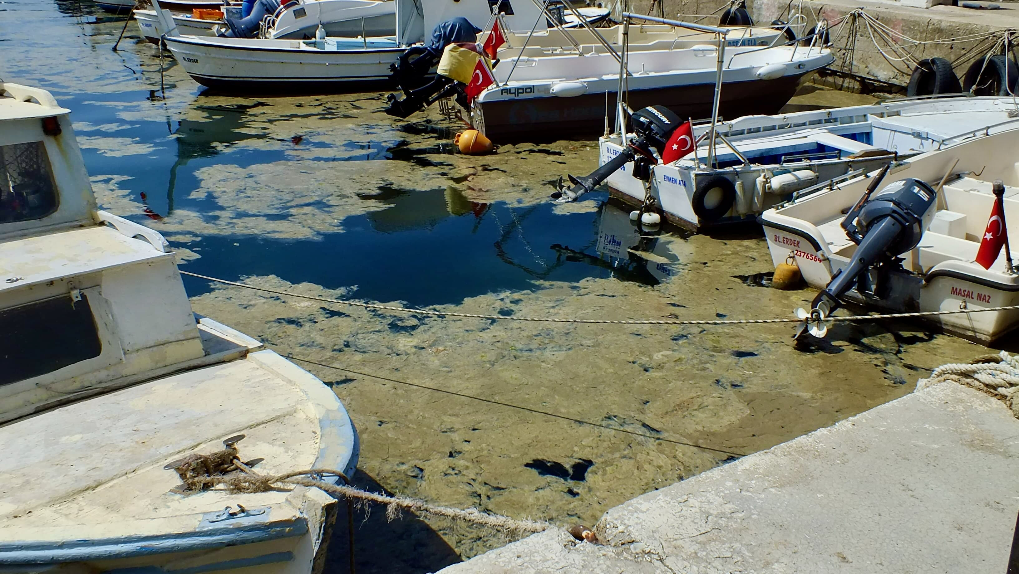 Kabus geri döndü! Bandırma ve Erdek Körfezi'nde müsilaj Kabus geri döndü! Bandırma ve Erdek Körfezi'nde müsilaj - 2. Resim