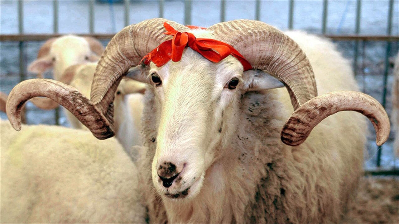 Kurban Bayramı 2025 ne zaman, kaç gün kaldı? Bayram tatil süresi uzayıp uzamayacağı gündemde! Kurban Bayramı 2025 ne zaman, kaç gün kaldı? Bayram tatil süresi uzayıp uzamayacağı gündemde! - 1. Resim