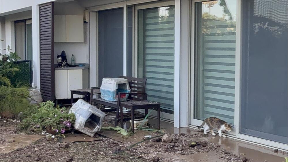 Su borusu patladı, ortalık savaş alanına döndü! 9 evi su aldı, araç camları kırıldı Su borusu patladı, ortalık savaş alanına döndü! 9 evi su aldı, araç camları kırıldı - 3. Resim