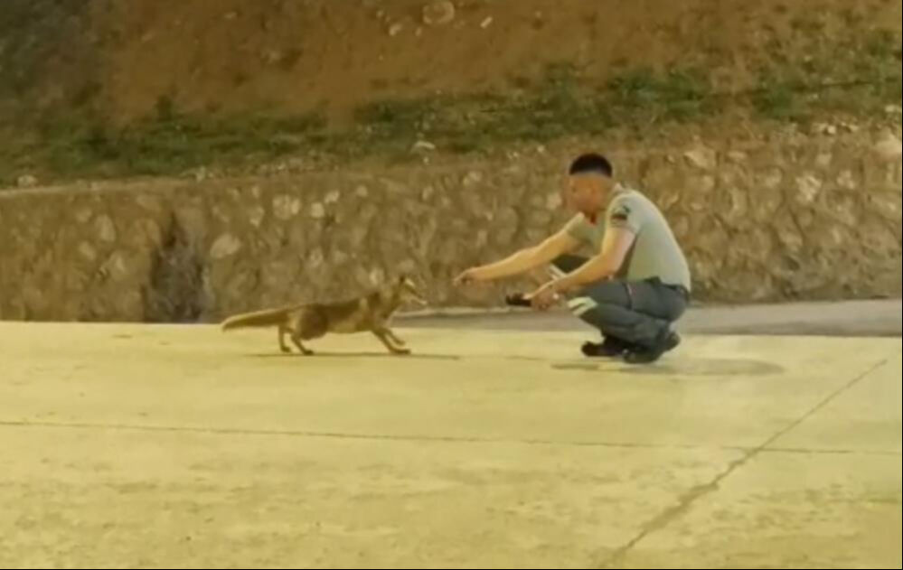 Adana onların dostluğunu konuşuyor! Her gün yanına geliyor, elleri ile besliyor... Adana onların dostluğunu konuşuyor! Her gün yanına geliyor, elleri ile besliyor... - 1. Resim