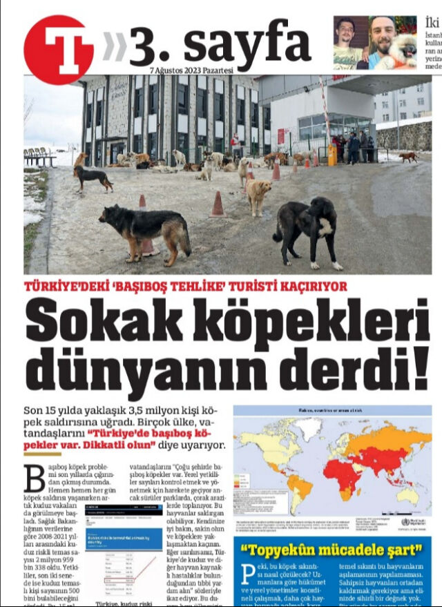 Başıboş köpekler hemen toplatılsın! AK Partili vekiller 'kesin çözüm şart' diyor Başıboş köpekler hemen toplatılsın! AK Partili vekiller 'kesin çözüm şart' diyor - 2. Resim