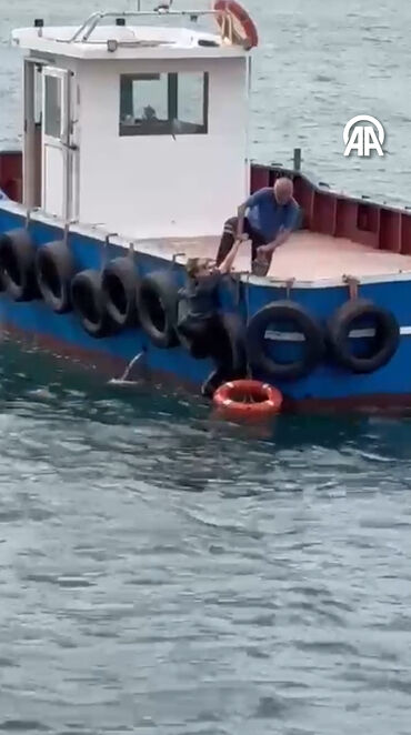 İstanbul'da korku dolu anlar! Tekneden düşen kadın son anda kurtarıldı - 1. Resim