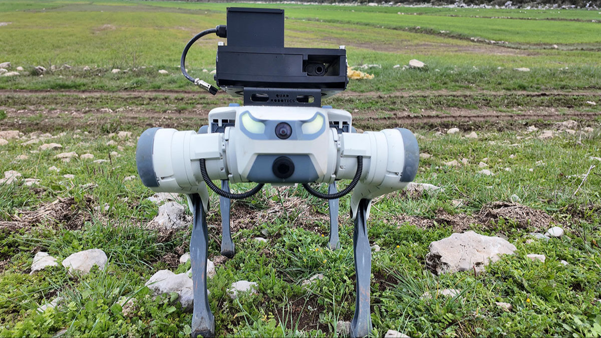 Köpek AYBARS dağa çıktı! Milli piyade tüfeklerini kuşanan robot hedefleri tam isabet vurdu Köpek AYBARS dağa çıktı! Milli piyade tüfeklerini kuşanan robot hedefleri tam isabet vurdu - 3. Resim