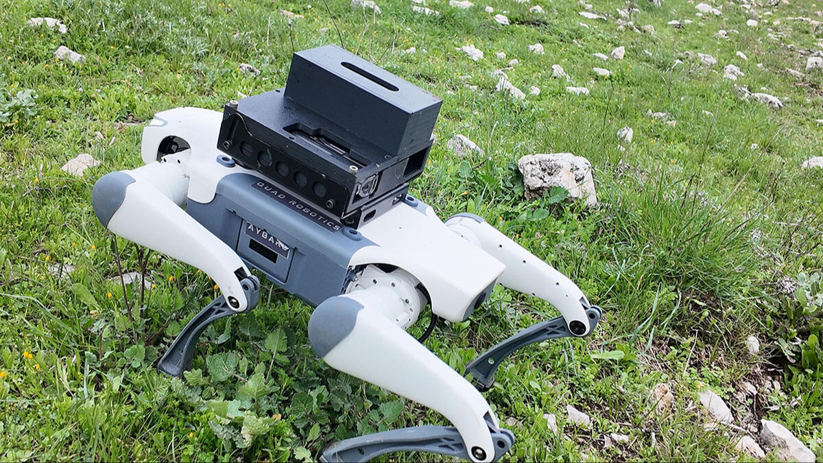 Köpek AYBARS dağa çıktı! Milli piyade tüfeklerini kuşanan robot hedefleri tam isabet vurdu Köpek AYBARS dağa çıktı! Milli piyade tüfeklerini kuşanan robot hedefleri tam isabet vurdu - 5. Resim