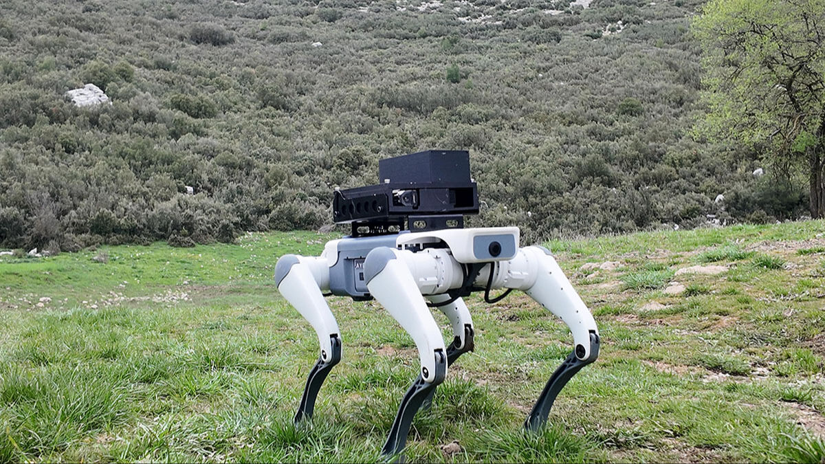 Köpek AYBARS dağa çıktı! Milli piyade tüfeklerini kuşanan robot hedefleri tam isabet vurdu Köpek AYBARS dağa çıktı! Milli piyade tüfeklerini kuşanan robot hedefleri tam isabet vurdu - 4. Resim