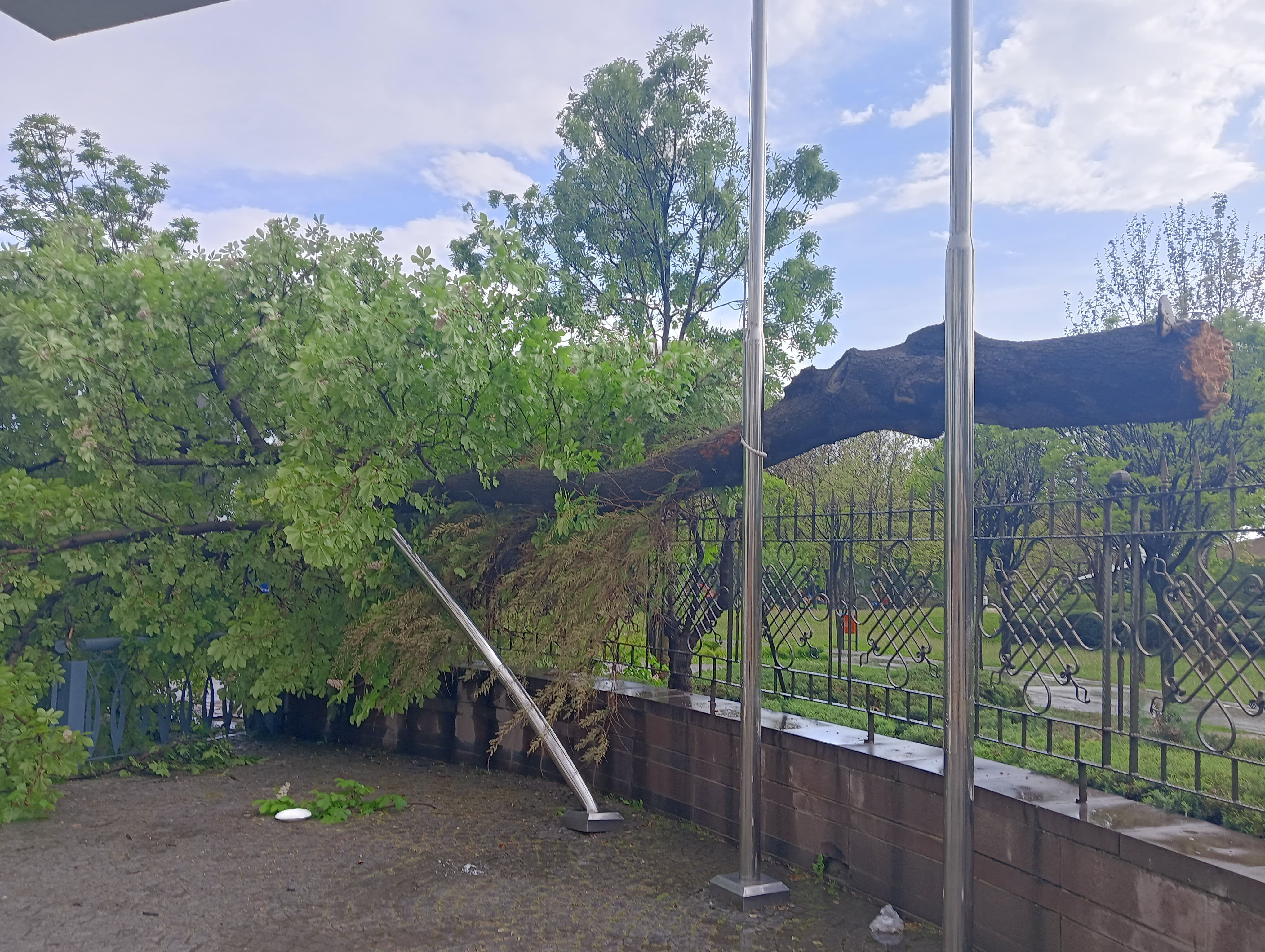 Meteoroloji sarı kodla uyarmıştı! Ankara'yı sağanak vurdu... Ağaçlar devrildi, yollar göle döndü Meteoroloji sarı kodla uyarmıştı! Ankara'yı sağanak vurdu... Ağaçlar devrildi, yollar göle döndü - 3. Resim