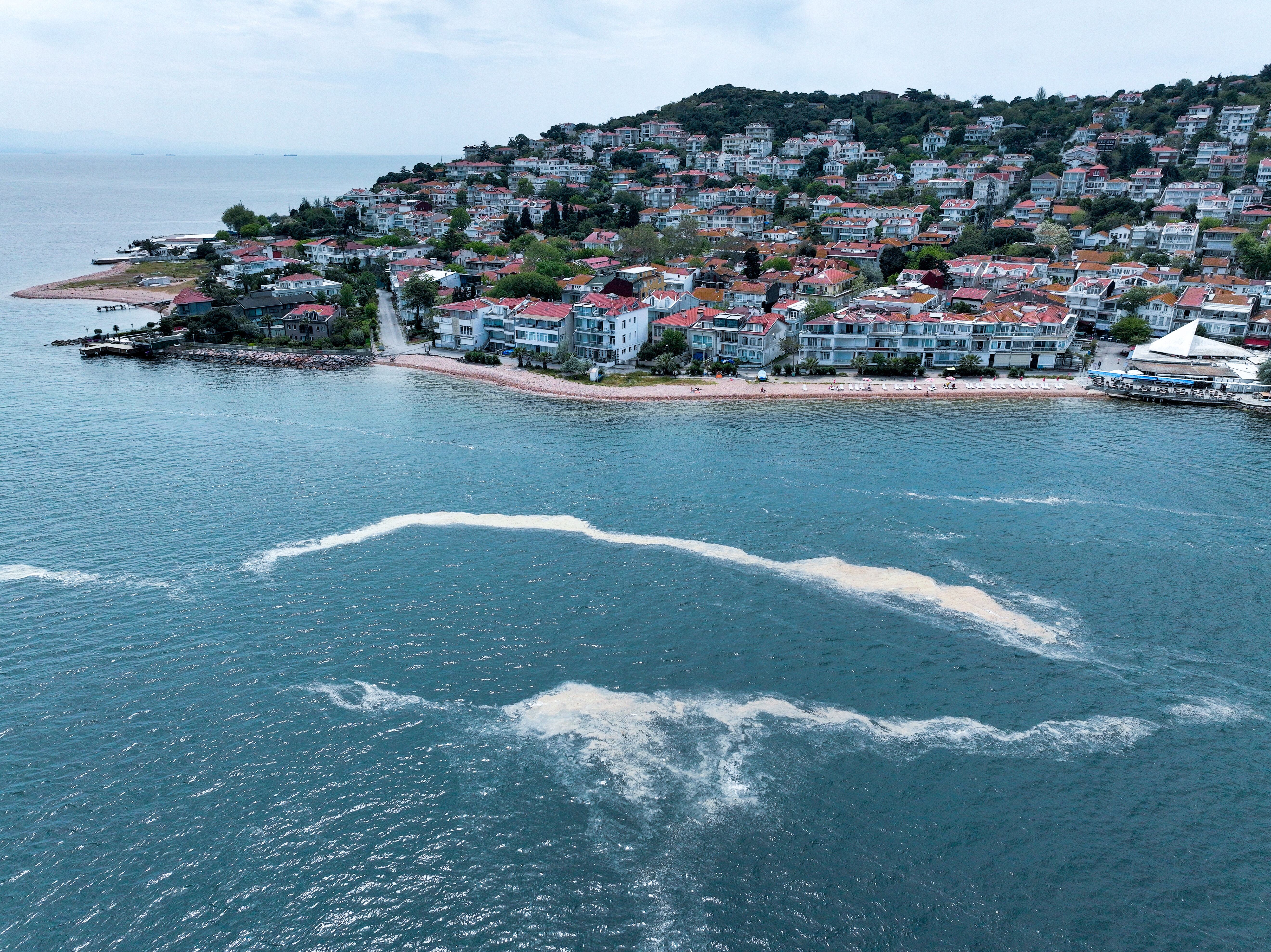 Önce Kınalıada, Şimdi Bursa... Yaz döneminin kabusu Marmara Denizi'ni karış karış işgal ediyor! - 1. Resim