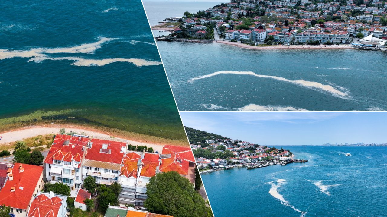 Önce Kınalıada, Şimdi Bursa... Yaz döneminin kabusu Marmara Denizi'ni karış karış işgal ediyor! Önce Kınalıada, Şimdi Bursa... Yaz döneminin kabusu Marmara Denizi'ni karış karış işgal ediyor!