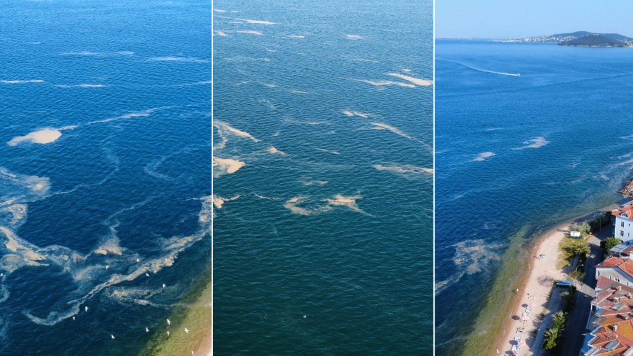 Önce Kınalıada, Şimdi Bursa... Yaz döneminin kabusu Marmara Denizi'ni karış karış işgal ediyor! - 2. Resim