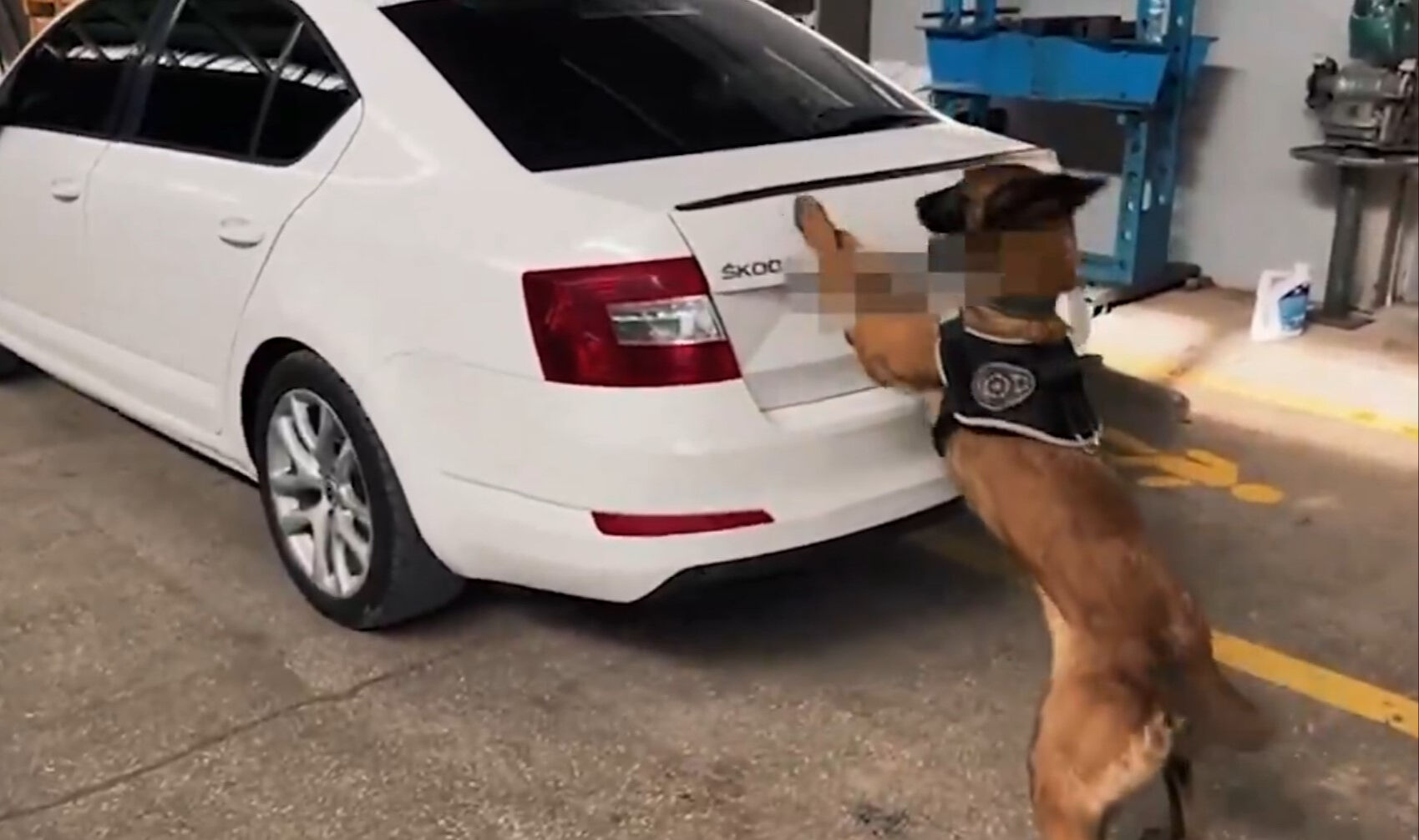 Yerlikaya duyurdu! 2 ilde büyük operasyon... Kilolarcası ele geçirildi, gözaltılar var Yerlikaya duyurdu! 2 ilde büyük operasyon... Kilolarcası ele geçirildi, gözaltılar var - 3. Resim