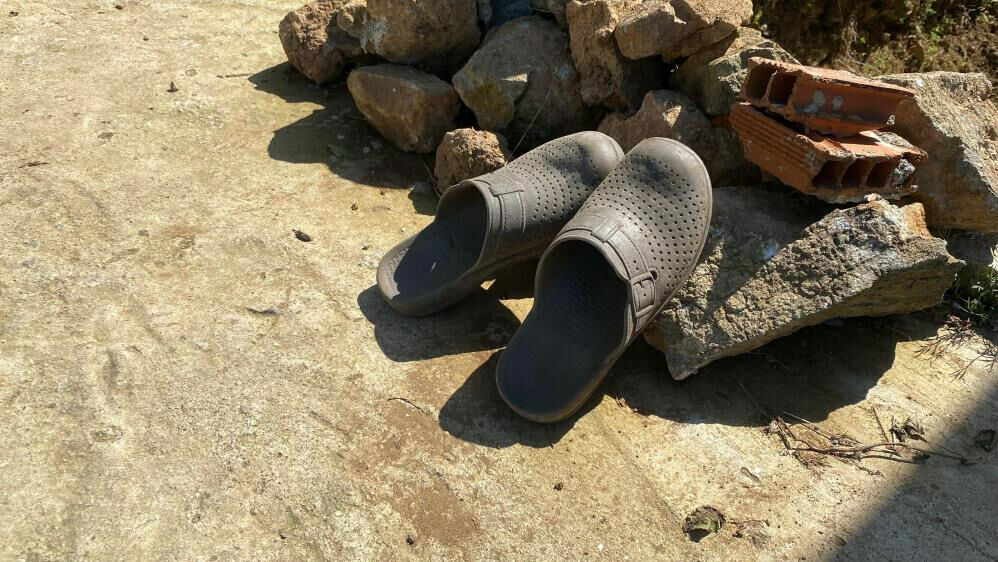 Artvin'de Kafkas engereği kabusu! Panzehir için hastane hastane dolaştılar Artvin'de Kafkas engereği kabusu! Panzehir için hastane hastane dolaştılar - 1. Resim