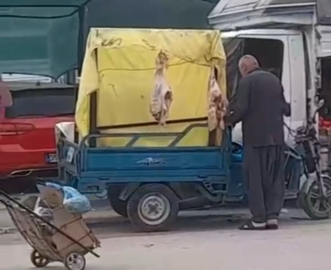 Hindistan değil Adana! Sokakta çekilen bu görüntülere tepki yağıyor - 1. Resim