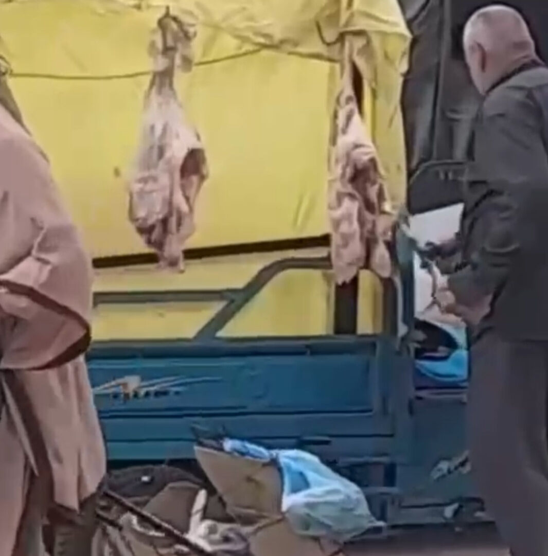 Hindistan değil Adana! Sokakta çekilen bu görüntülere tepki yağıyor - 2. Resim