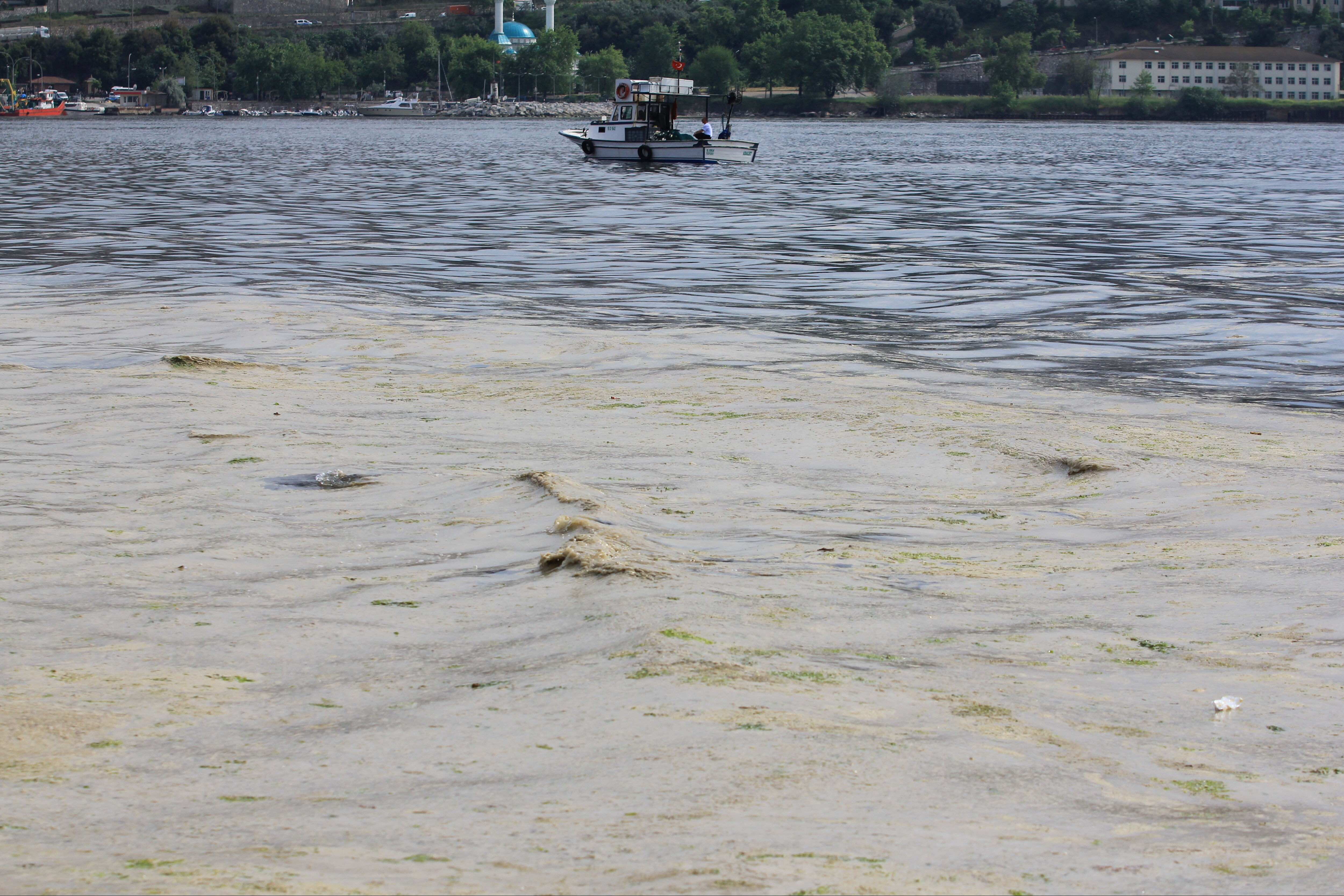 'Marmara mücevheri' felaket saçıyor! Ülkenin dörtte birini ilgilendiriyor: Kabus geri döndü - 1. Resim