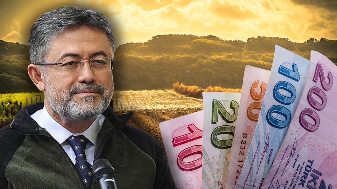 Hedef 10 milyon hektar alan! Toplulaştırma ile 47 milyar lira kazanç Hedef 10 milyon hektar alan! Toplulaştırma ile 47 milyar lira kazanç