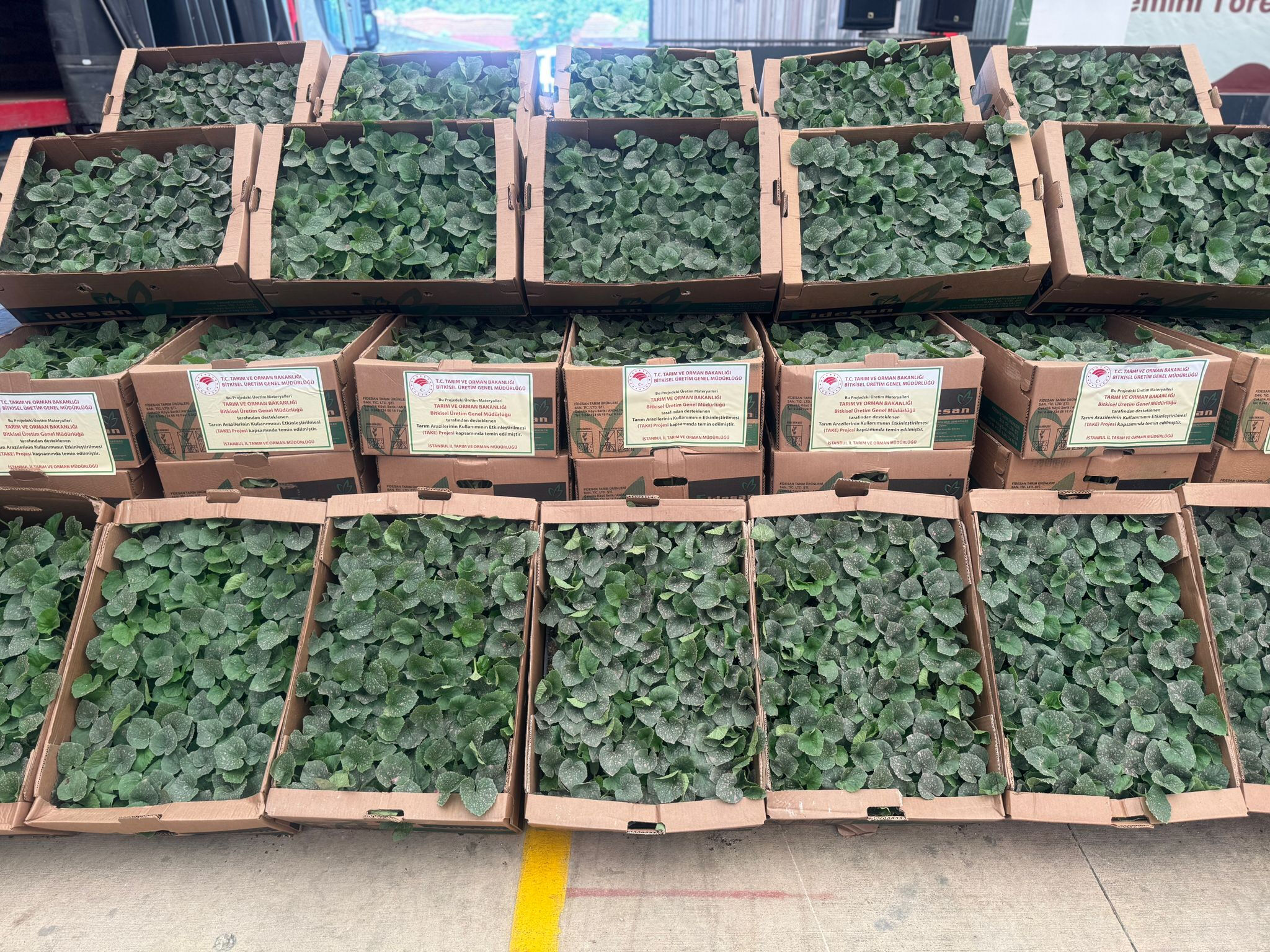 Bakanlık projeyi hayata geçirdi! İl il binlerce çiftçiye ücretsiz dağıtılıyor - 1. Resim