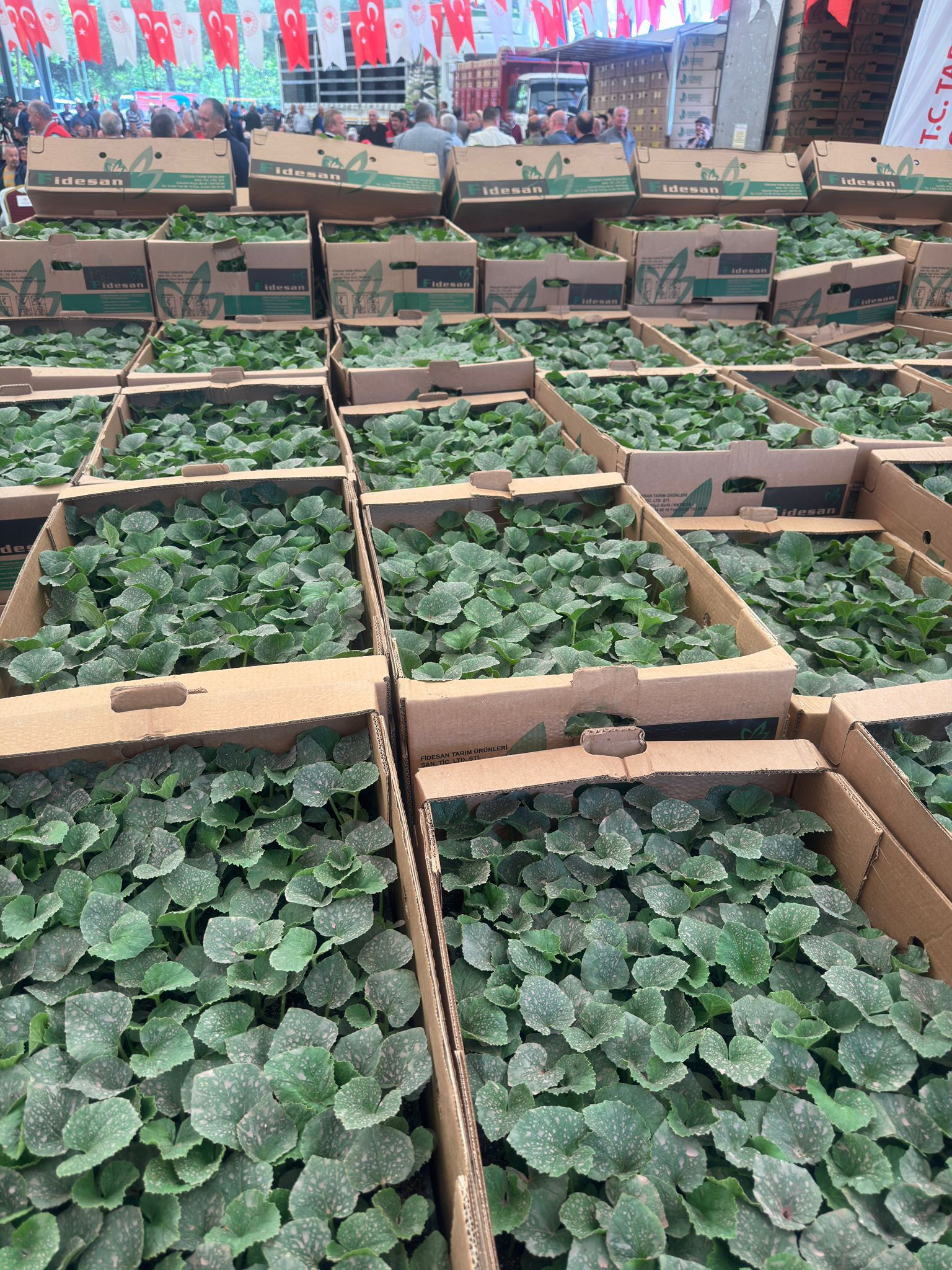 Bakanlık projeyi hayata geçirdi! İl il binlerce çiftçiye ücretsiz dağıtılıyor - 2. Resim