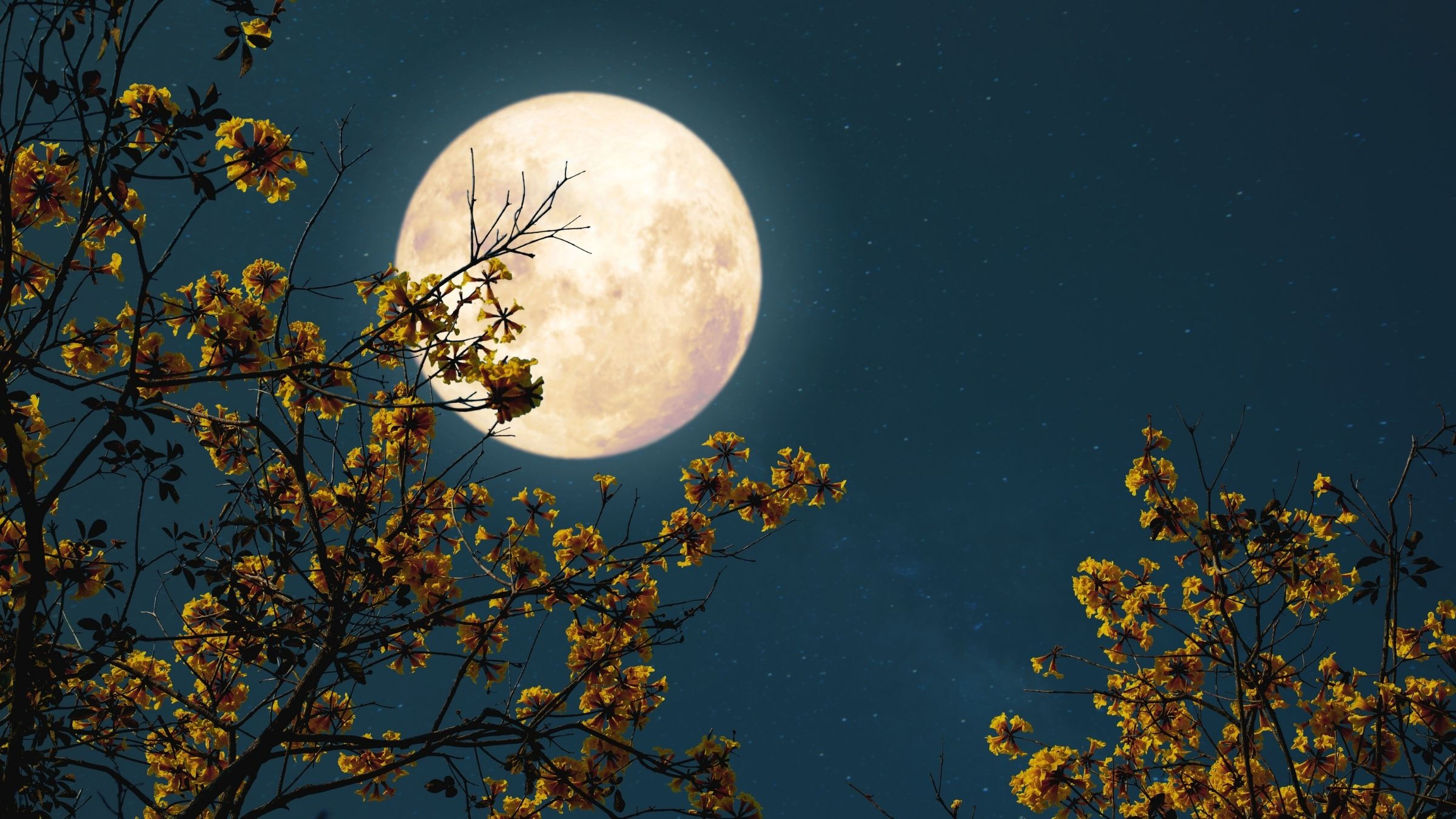 Çiçek ve süt dolunayı Türkiye'de izlenebilecek mi, nereden? 12 Mayıs'ta gerçekleşiyor - 2. Resim