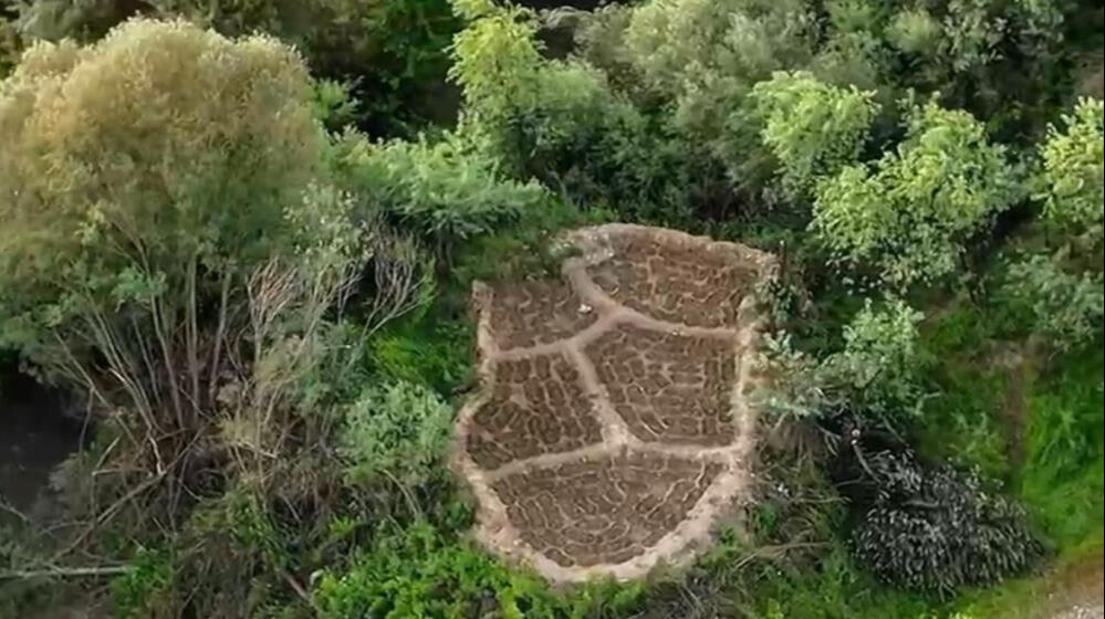 Diyarbakır Valiliği'nden açıklama geldi, hepsine el konuldu! Çok sayıda gözaltı var - 1. Resim