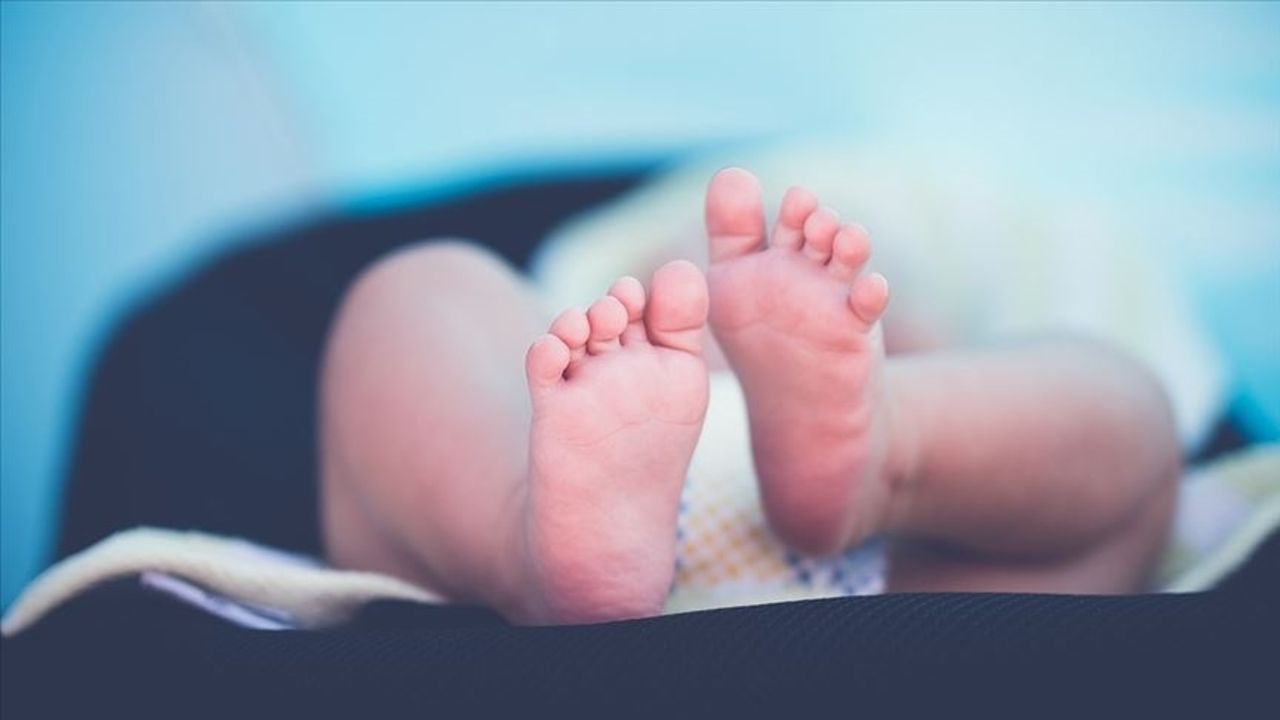 Doğum izni 1 yıla ne zaman çıkacak? 2025 yeni doğum yasası son gelişmeler Doğum izni 1 yıla ne zaman çıkacak? 2025 yeni doğum yasası son gelişmeler