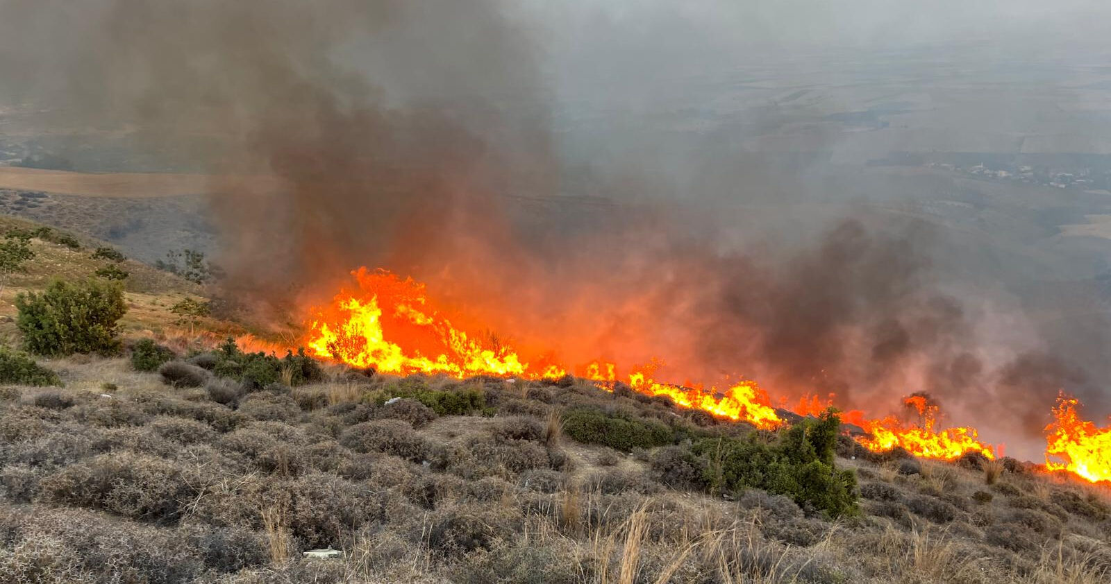 Hatay'da zeytinlik alanda korkutan yangın - 1. Resim