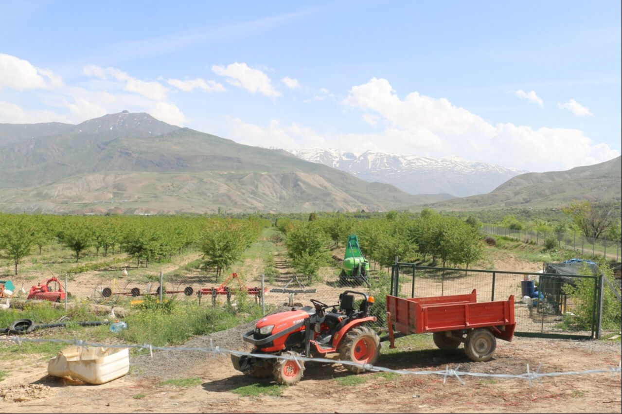 Rektum cerrahından organik vişne üreticiliğine: Erzincan'da ilham veren başarı - 1. Resim