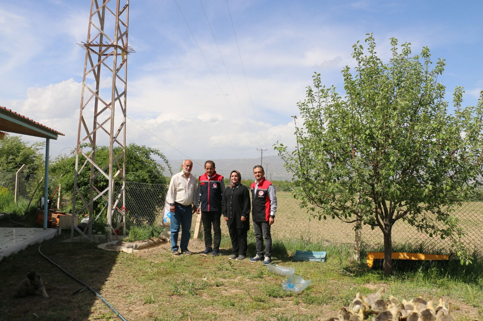 Rektum cerrahından organik vişne üreticiliğine: Erzincan'da ilham veren başarı - 2. Resim