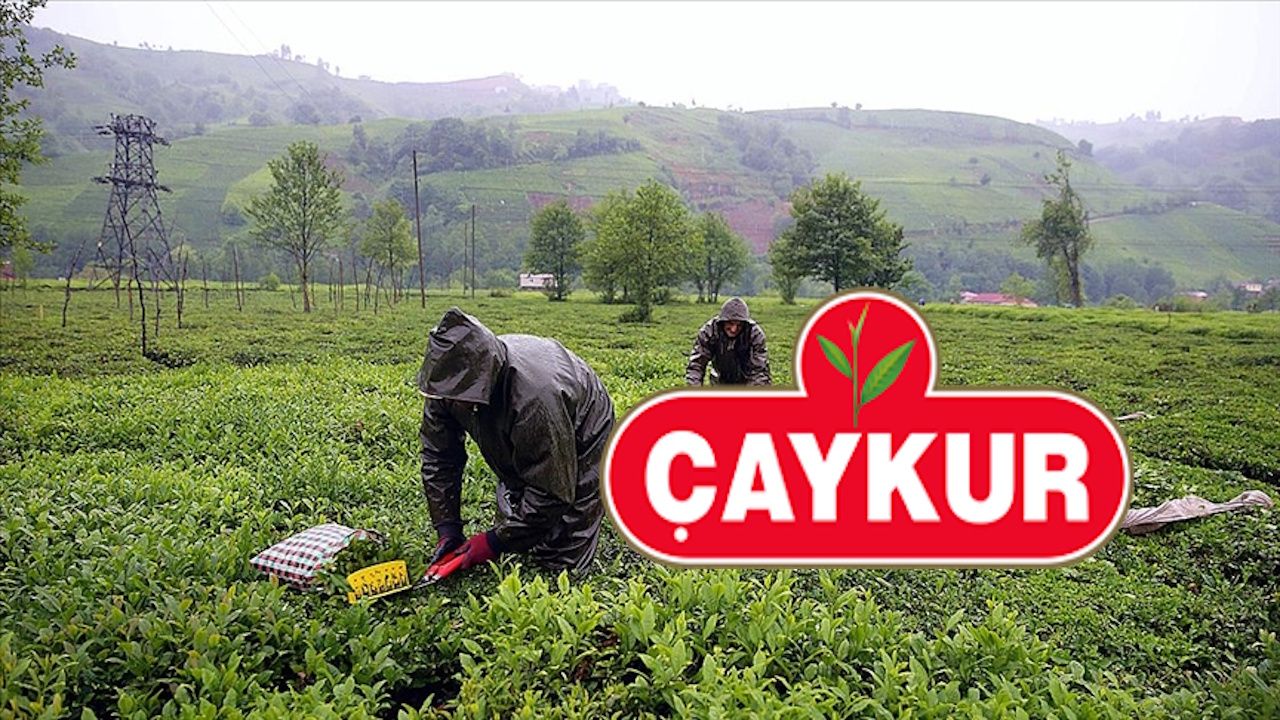 ÇAYKUR işçi alımı kura çekilişi ne zaman, saat kaçta? Başvurular bugün sona eriyor! ÇAYKUR işçi alımı kura çekilişi ne zaman, saat kaçta? Başvurular bugün sona eriyor!
